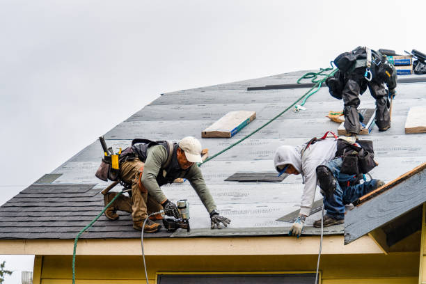 Professional Storm Damage Roof Repair technician working in Laredo, MO